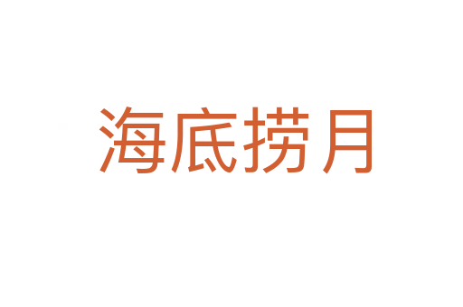 海底捞月