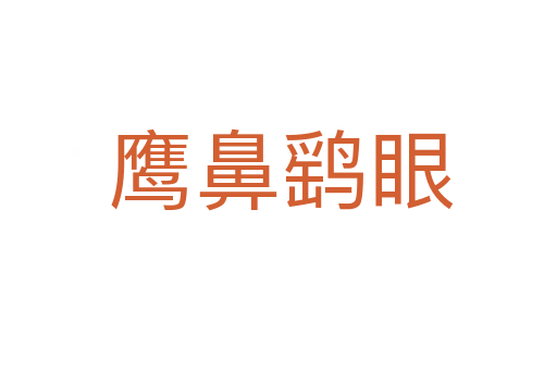 鹰鼻鹞眼