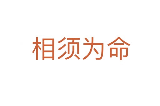 相须为命
