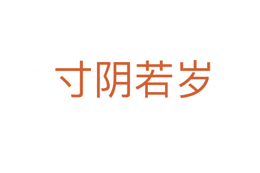 寸阴若岁