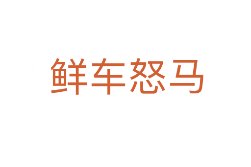鲜车怒马