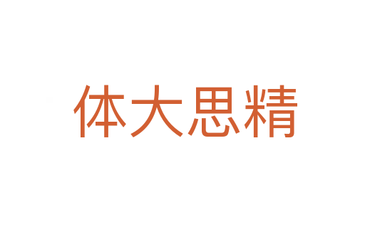 体大思精
