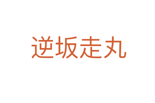 逆坂走丸