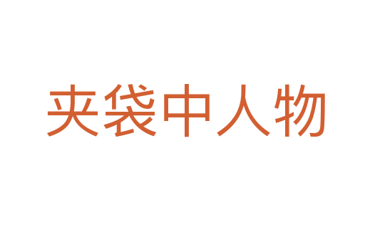 夹袋中人物