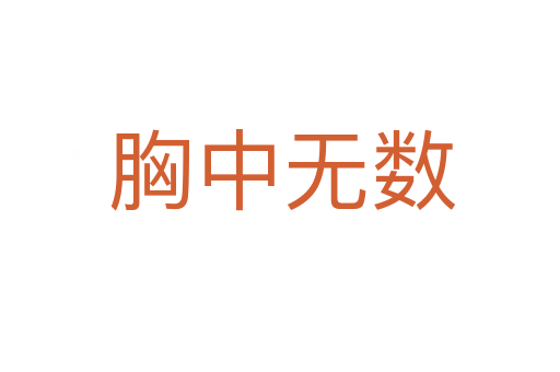胸中无数