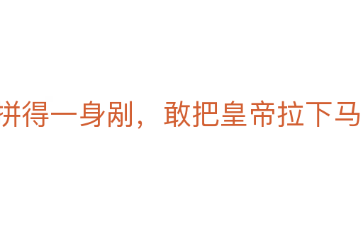 拼得一身剐，敢把皇帝拉下马