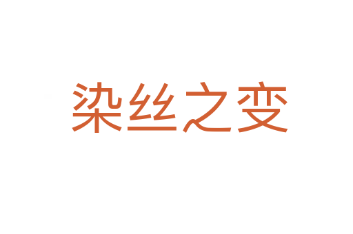 染丝之变