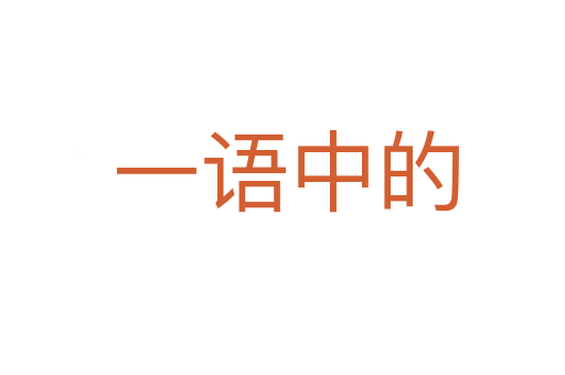 一语中的