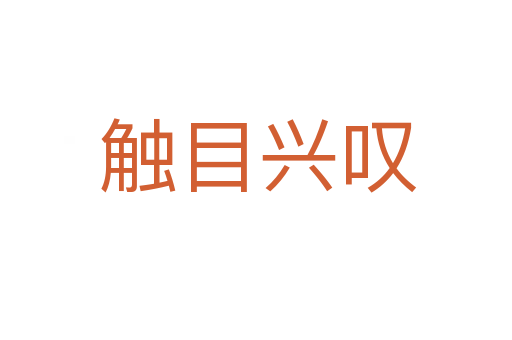 触目兴叹