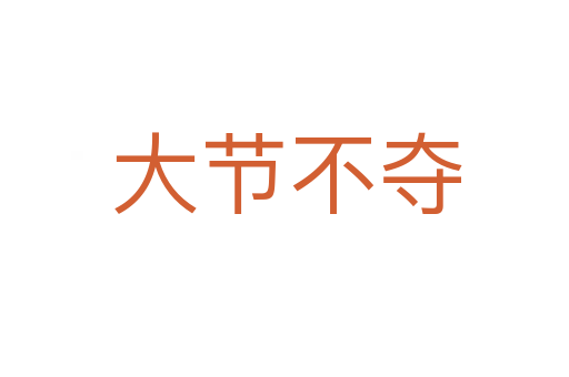 大节不夺