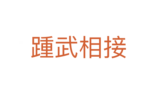 踵武相接