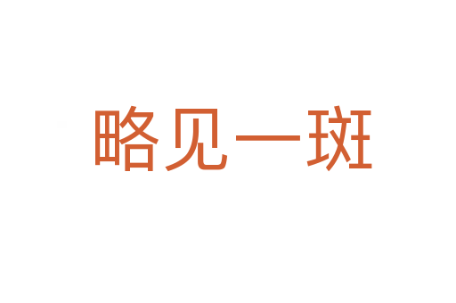 略见一斑
