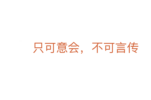 只可意会，不可言传