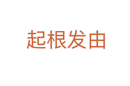 起根发由