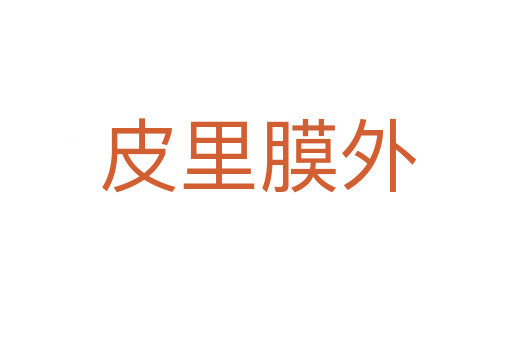 皮里膜外