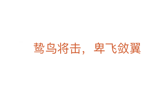鸷鸟将击，卑飞敛翼