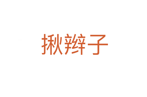 揪辫子