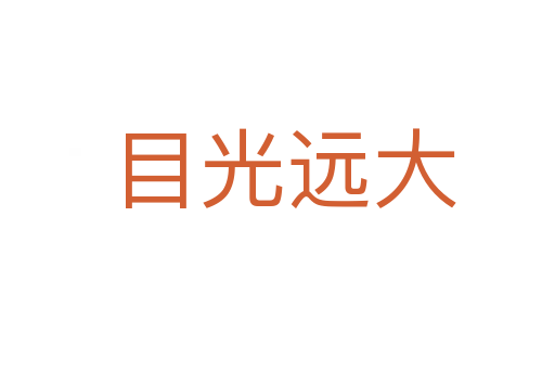 目光远大
