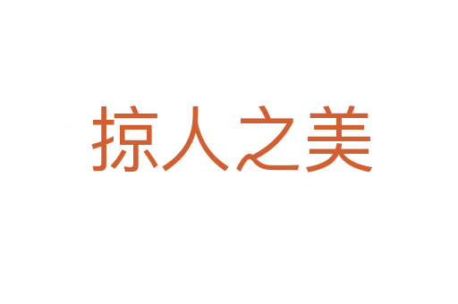 掠人之美