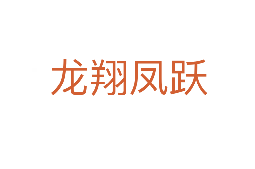 龙翔凤跃