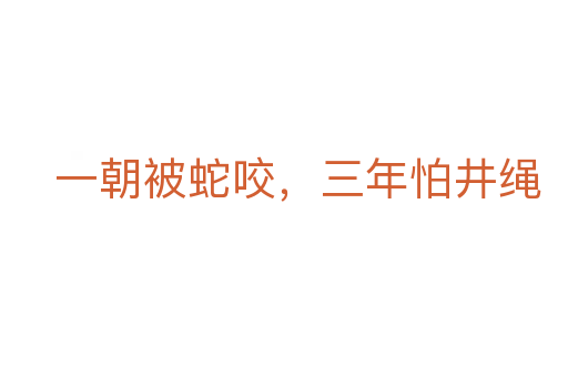 一朝被蛇咬，三年怕井绳
