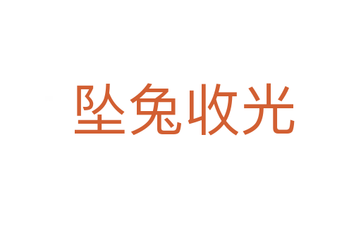 坠兔收光