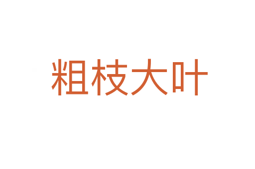 粗枝大叶