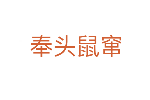 奉头鼠窜