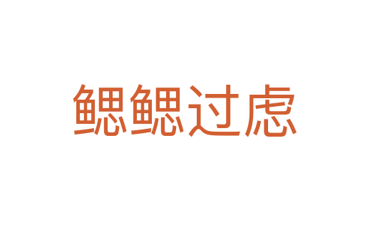 鳃鳃过虑