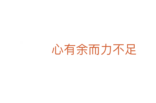 心有余而力不足