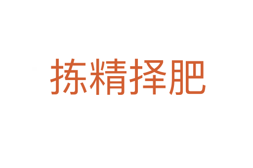 拣精择肥