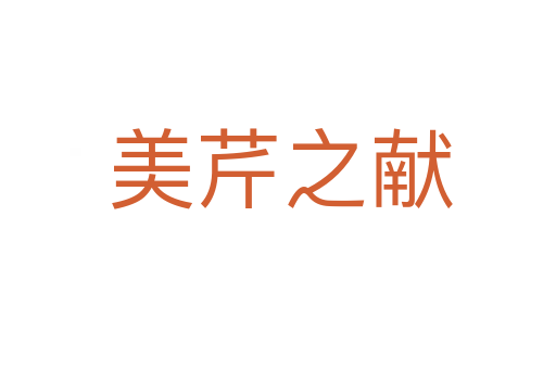 美芹之献