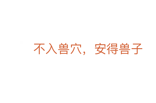 不入兽穴,安得兽子