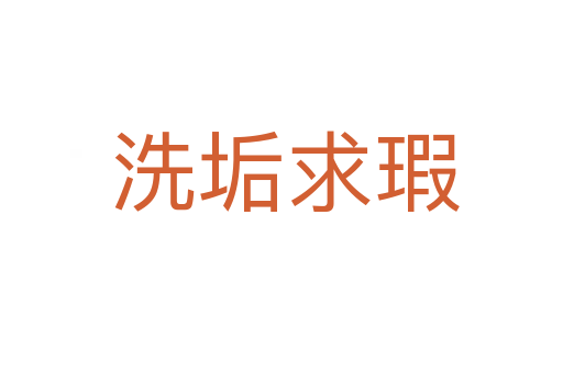 洗垢求瑕