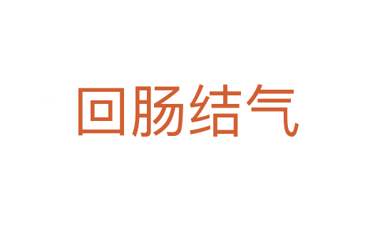 回肠结气