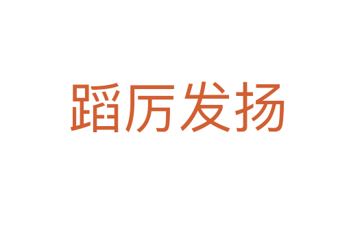 蹈厉发扬