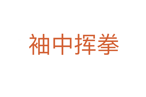 袖中挥拳
