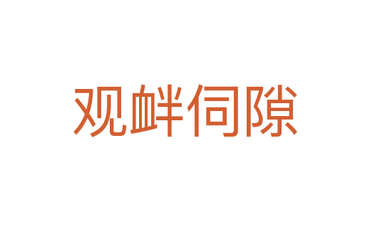 观衅伺隙