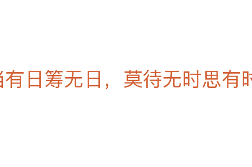 宁当有日筹无日，莫待无时思有时