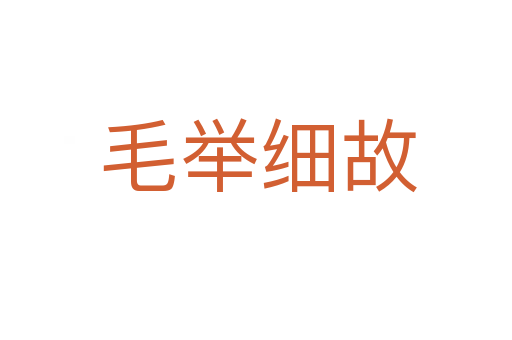毛举细故