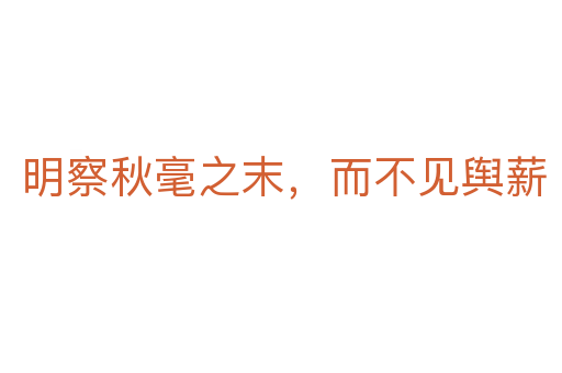 明察秋毫之末，而不见舆薪