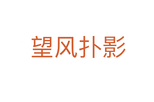 望风扑影