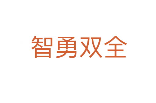 智勇双全