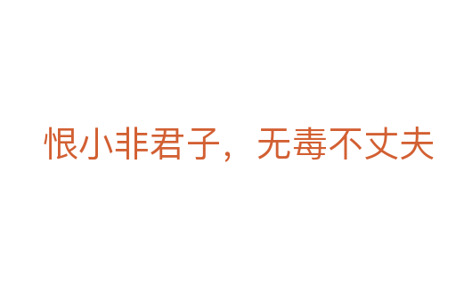 恨小非君子，无毒不丈夫
