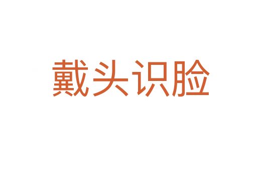 戴头识脸