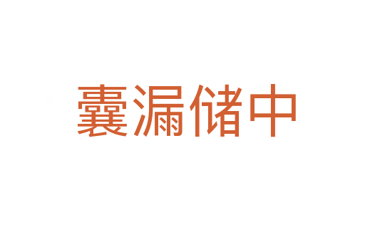 囊漏储中