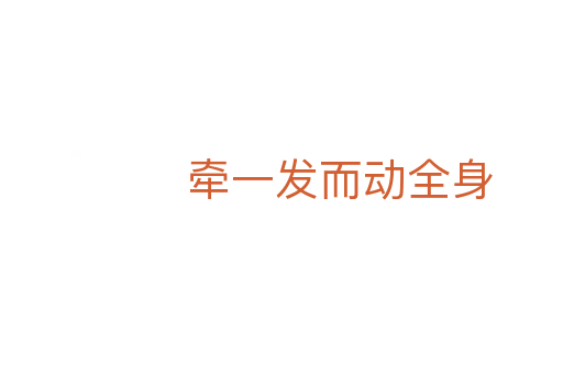 牵一发而动全身