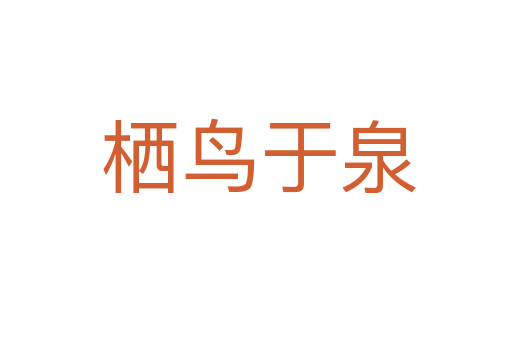 栖鸟于泉