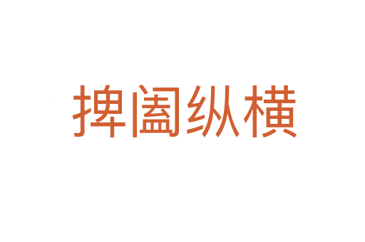 捭阖纵横
