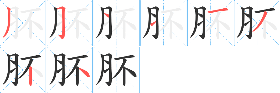 肧的笔顺分步演示